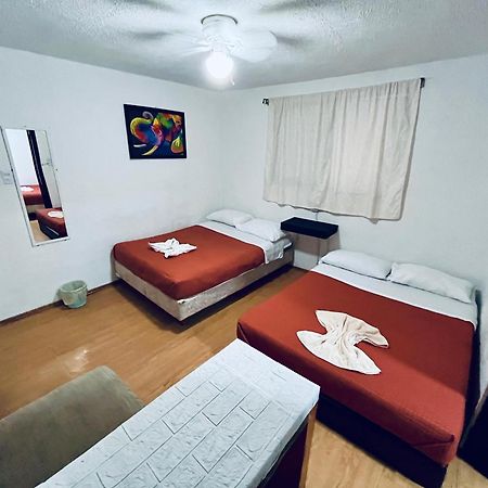 Casita Del Arbol Apartman Mexikóváros Kültér fotó
