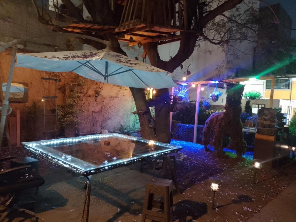 Casita Del Arbol Apartman Mexikóváros Kültér fotó
