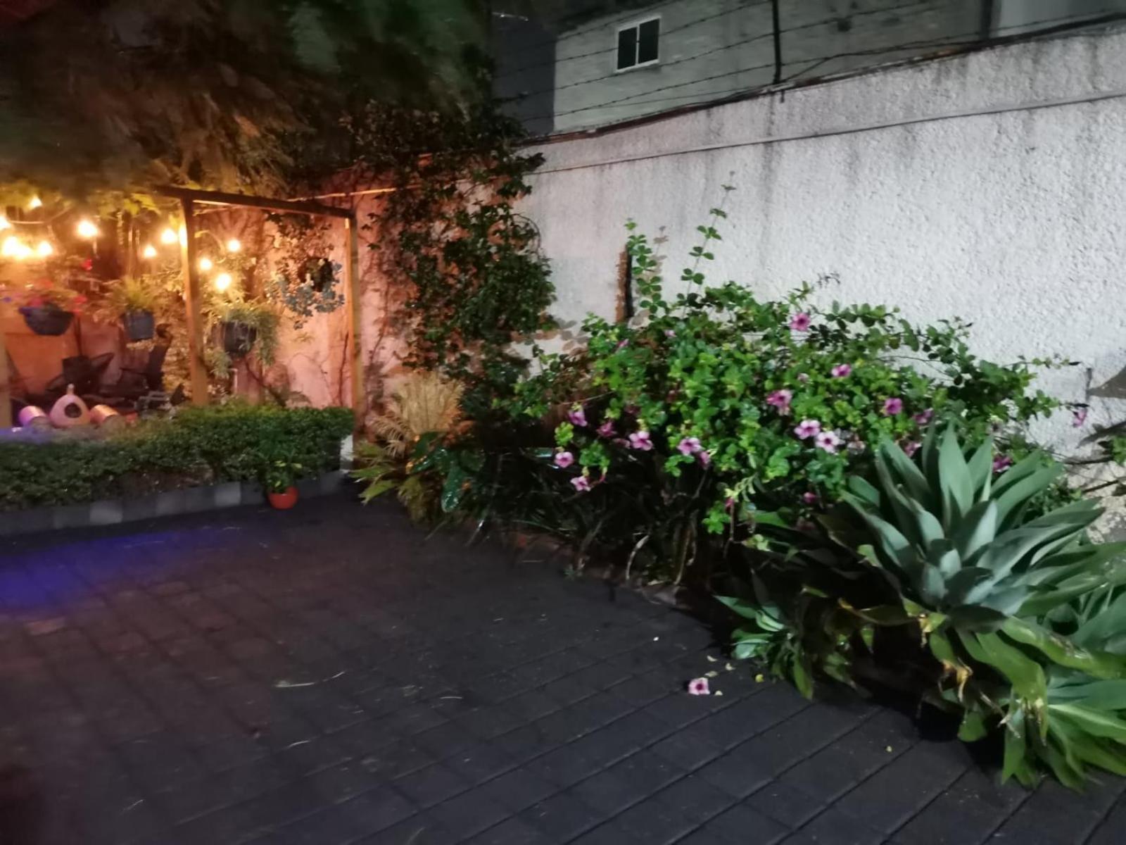 Casita Del Arbol Apartman Mexikóváros Kültér fotó