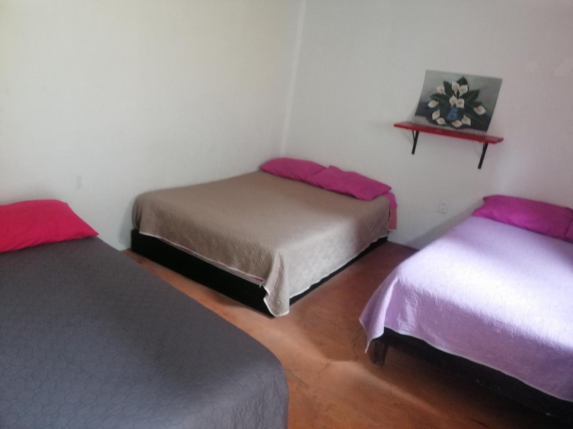 Casita Del Arbol Apartman Mexikóváros Szoba fotó