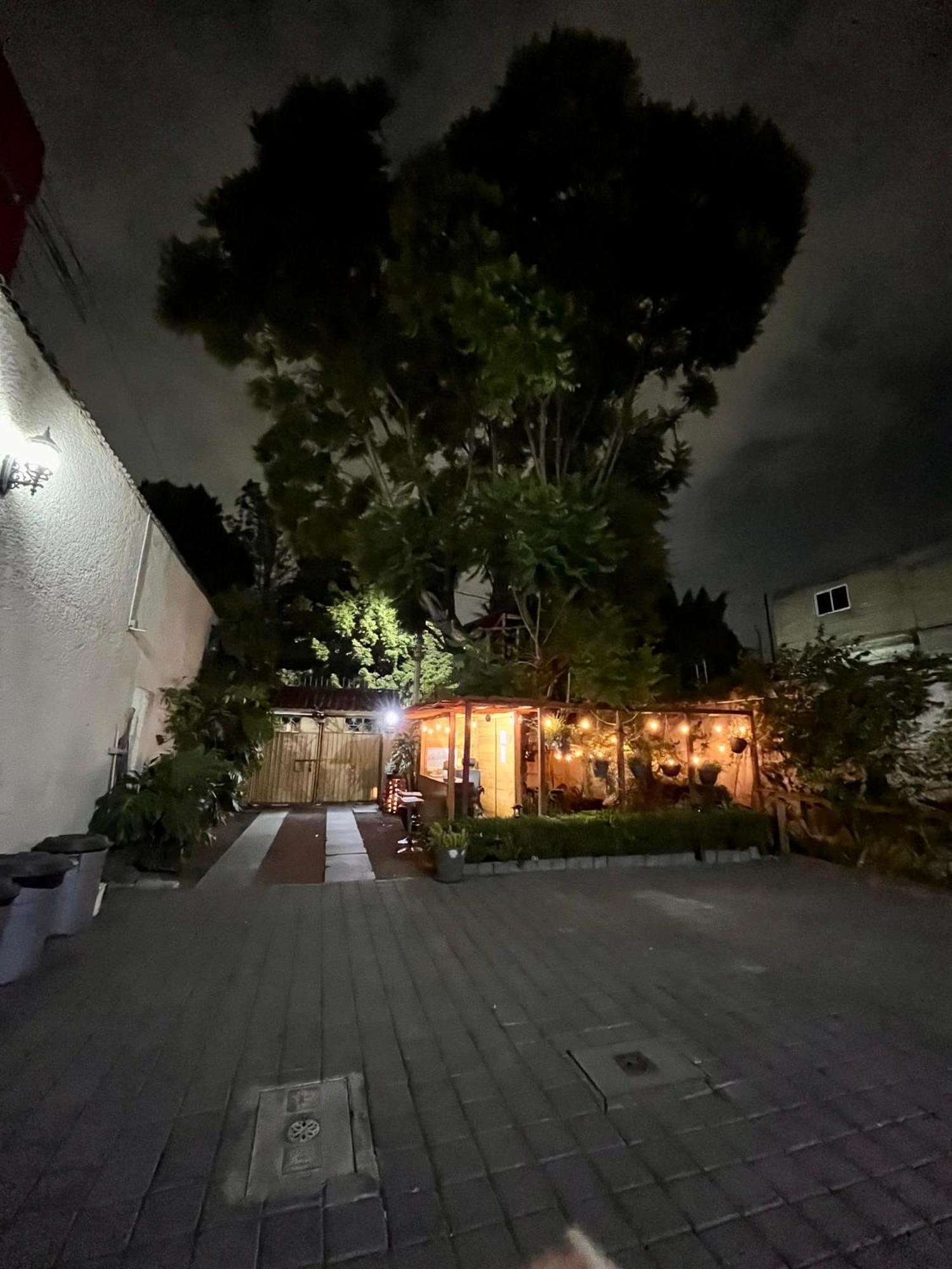 Casita Del Arbol Apartman Mexikóváros Kültér fotó