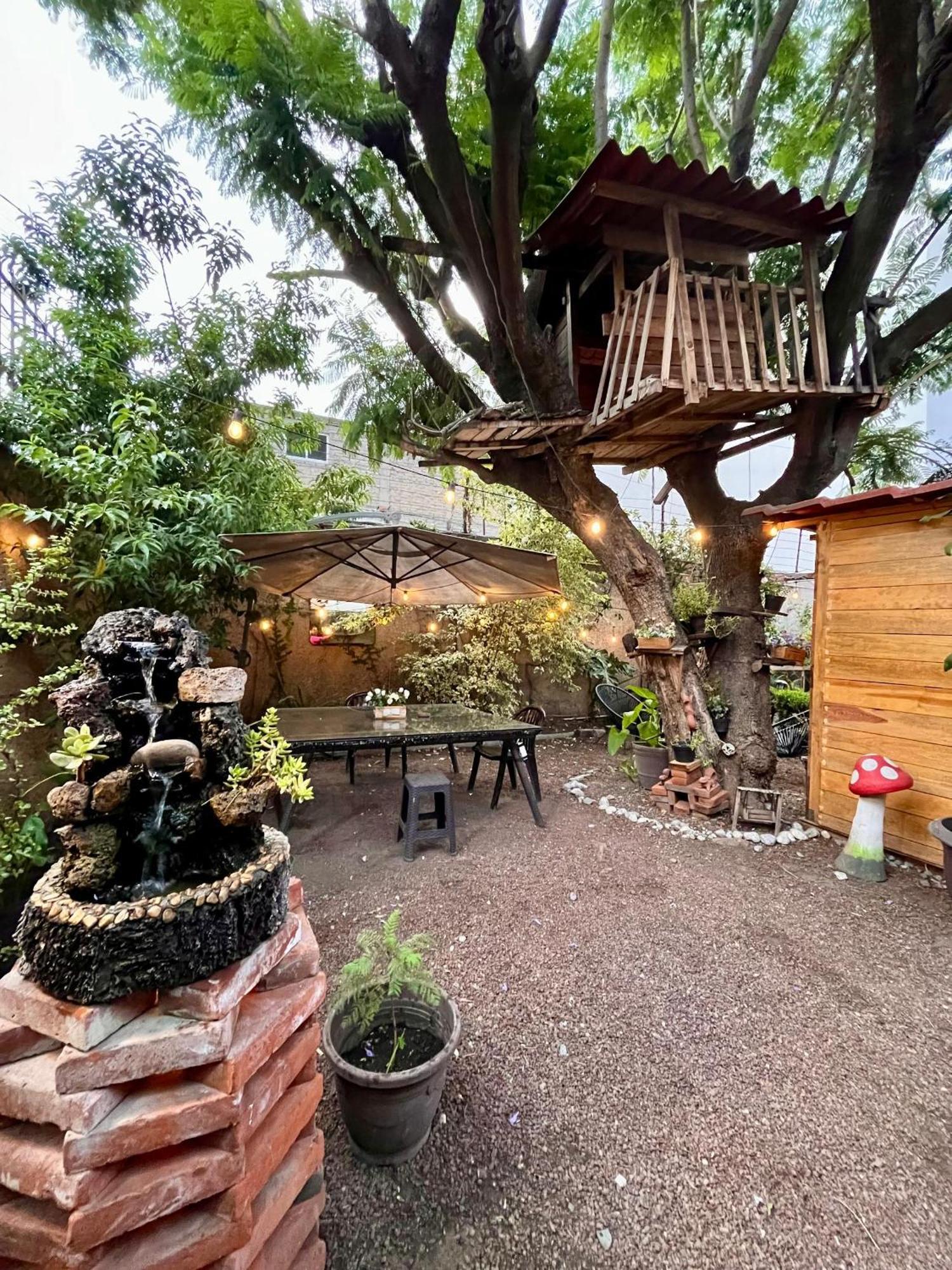 Casita Del Arbol Apartman Mexikóváros Kültér fotó