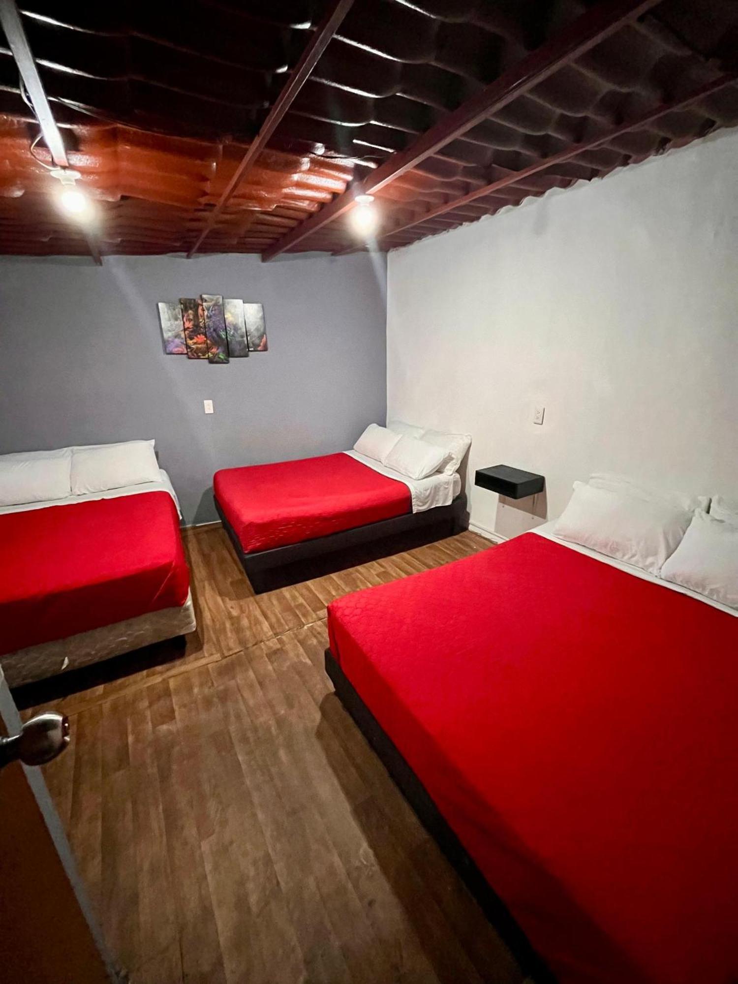 Casita Del Arbol Apartman Mexikóváros Kültér fotó