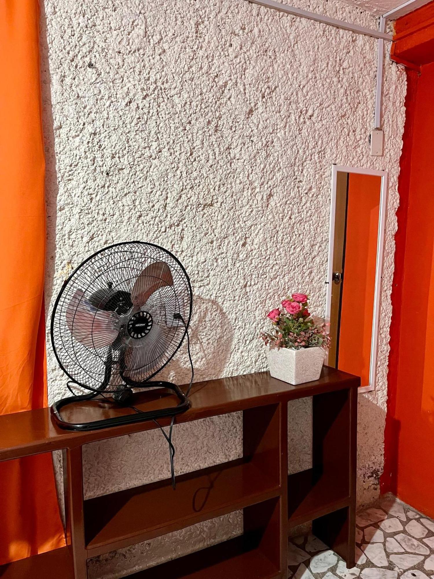 Casita Del Arbol Apartman Mexikóváros Kültér fotó