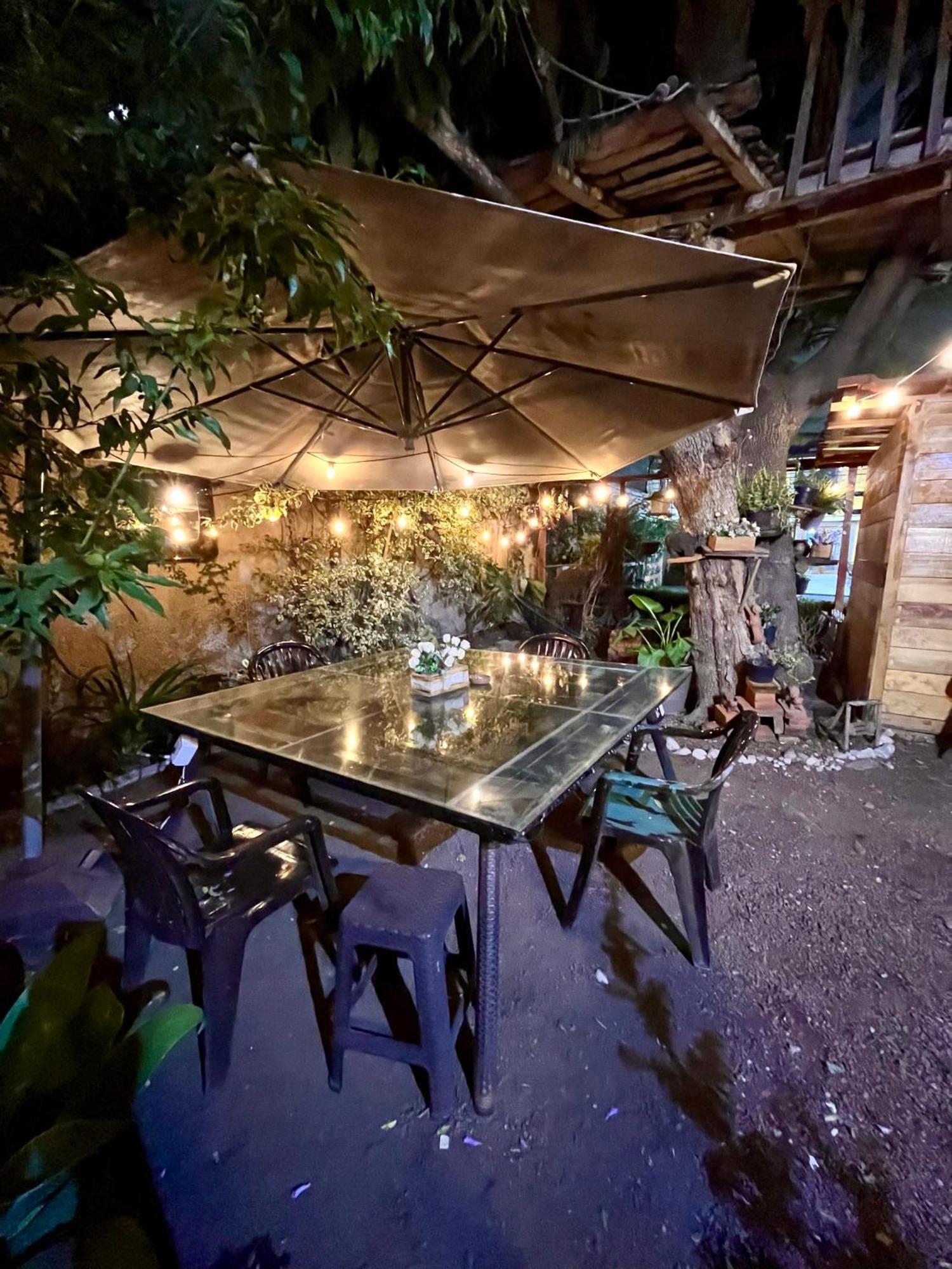 Casita Del Arbol Apartman Mexikóváros Kültér fotó